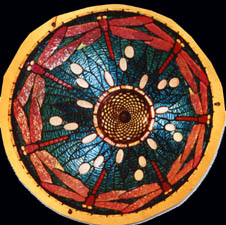 Dichroic Dragonfly