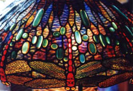 Dragonfly Detail