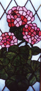 Geraniums