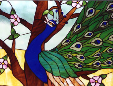 Peacock Detail