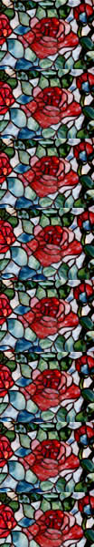 Rosebush